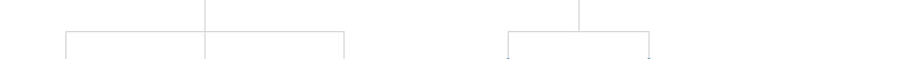 조직도 선이미지3
